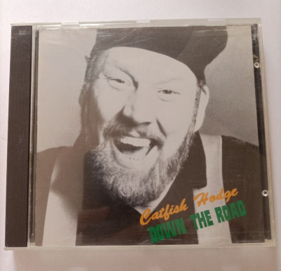 CATFISH HODGE - Down the road CD 1990 JAPAN Rock Blues no obi