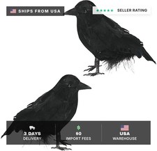 2 Pcs Halloween Realistic Crows Black Feathered Standing Crows Artificial Fake B