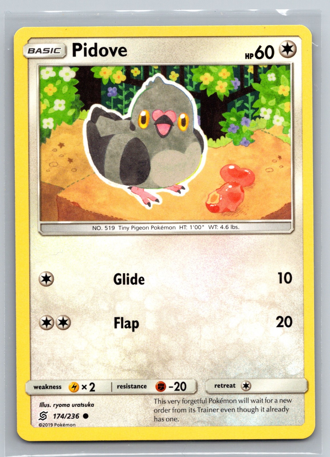 Pidove 174/236 Unified Minds Pokemon TCG Colorless Tiny Pigeon Basic Card