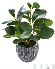 AlphaAcc Mini Potted Artificial Plants Real Looking Plastic Fiddle Leaf Fig Plan