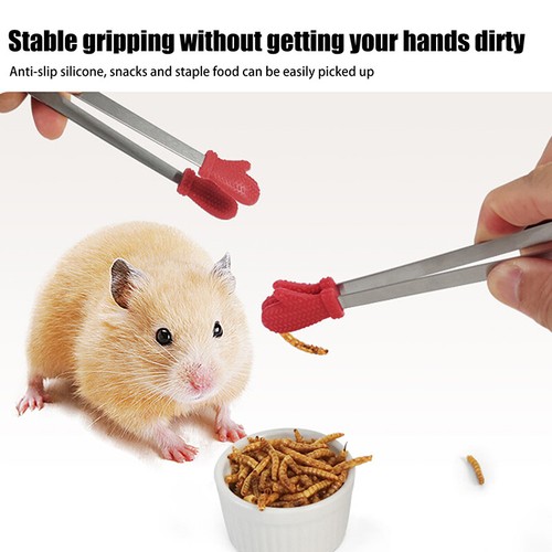 5Pcs Hamster Bird Small Animals Feeder Clip Food Clip Parrot Fruit Vegetable -wf vente