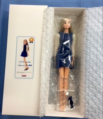Pet Works Momoko Doll CCS momoko Aquarius LAMM PW-momoko LAMMFROMM 