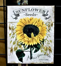 Sunflower Seeds Rustic Farmhouse Print on 8 X 10 Stretched Canvas