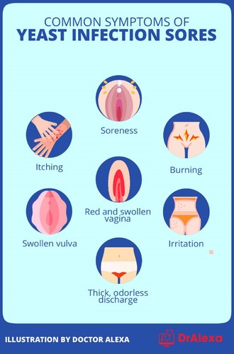 ORGANICA NATURAL PARA LOS HONGOS EN VULVA - 100% HERBAL - MADE USA - Picture 4 of 6