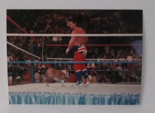 WWF The British Bulldog Original Type 1 WWF WWE Wrestling Ringside 1988
