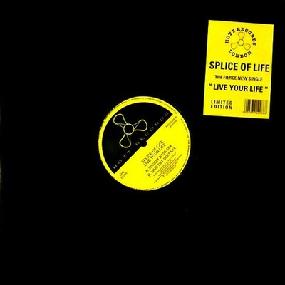 Splice Of Life - Live Your Life (VINYL)