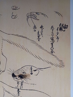 Maruyama Okyo Weasel Sketch Kyoto E41 Japanese Edo-MEIJI Era, Used