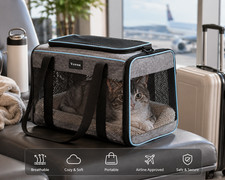 Airline Approved Pet Carrier Soft Sided Travel Bag for Cats  Small Dogs