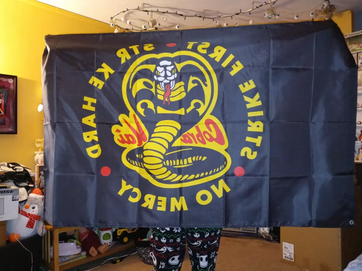 Cobra Kai  The Banner