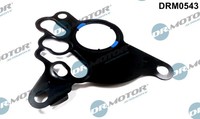 1X Dr.Motor Automotive DRM0543 Dichtung Unterdruckpumpe FüR VW Audi Skoda Seat