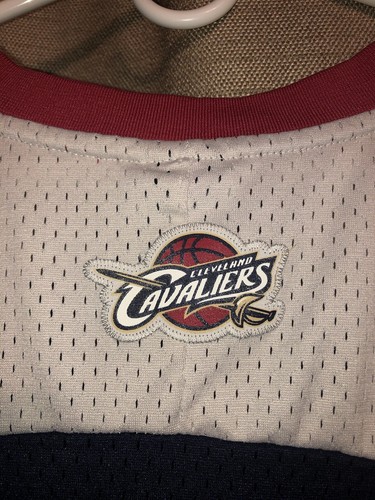 LeBron James #23 ALL STAR GAME NBA EAST 2007 Adidas Blue Jersey Men’s Size XL - Picture 17 of 18