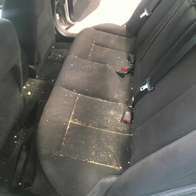ALTIMA    2012 Seat Rear 757013