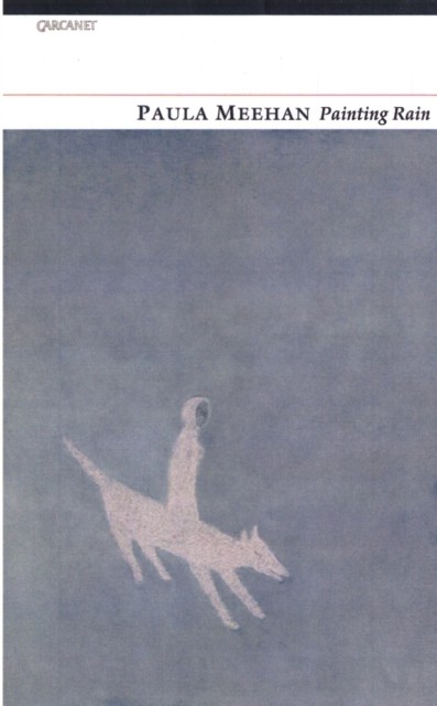 Painting Rain by Paula Meehan PAPERBACK 9781847770011