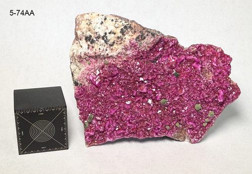 Pink Cobaltoan Calcite Museum Grade Rare Natural Cobalto Large 184g. Congo