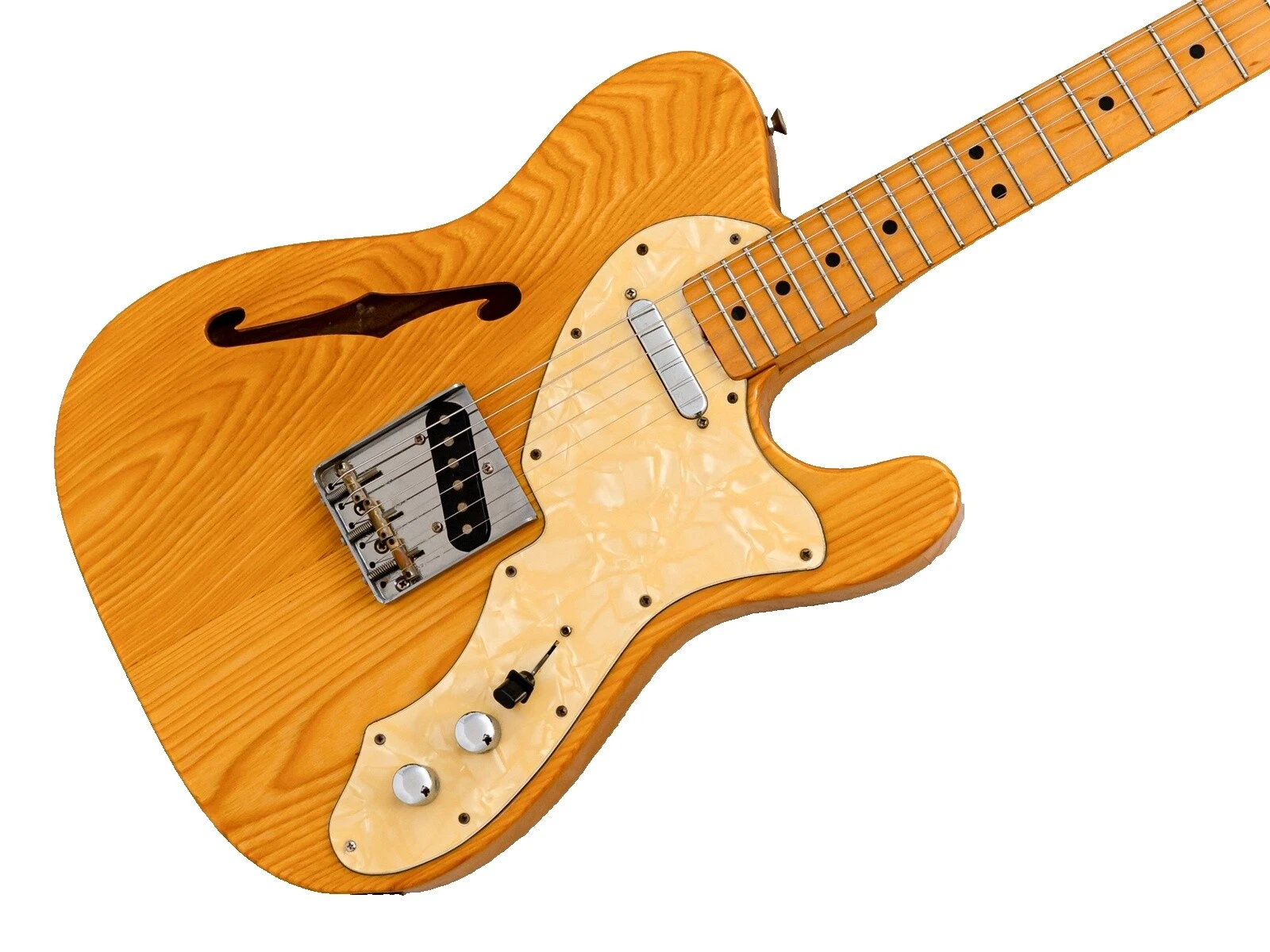 Fernandes Semi-Hollow Body 6 String Electric Guitars