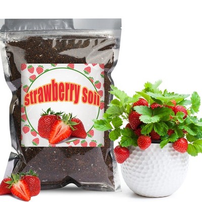 Doter Organic Strawberry Soil Mix 2qt, Indoor Plants Potting black 
