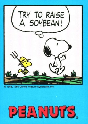 1992 Pro Sport Specialties Peanuts  #177 Try to raise a soybean!  