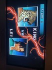 Foto 11 di 12