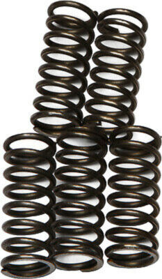 EBC Clutch Springs Kit for Honda VTR1000F Super Hawk 98-05 EBC CSK66