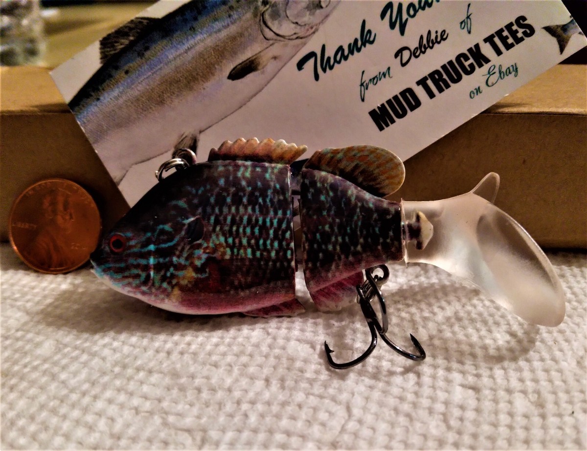 +baitcasting +reel Chaos XS Round Saltwater Baitcasting Reel