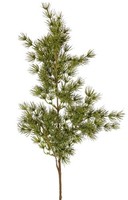 Artplants Deko Zweig Asparagus Umbellatus Dikerno, GrüN, 75Cm