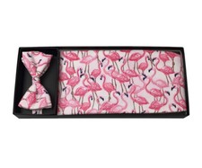 Men's Flamingo Fun Bow Tie and Cummerbund Set