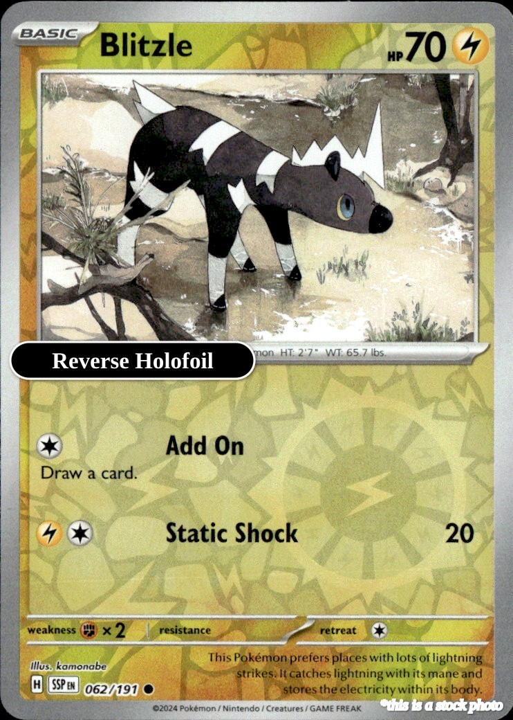 Blitzle SSP 062/191 Pokémon Common NM