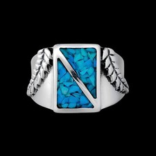 Size 11.5-925 Sterling Silver Turquoise Sectioned Rectangle Ring, Regal Fern...