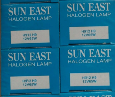 (2 Pcs) Sun East H9 Headlight Halogen Light Bulbs