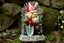 thumbnail 3 - BigMouth Inc "Game of Gnomes" Garden Gnome Statues Free Shipping!