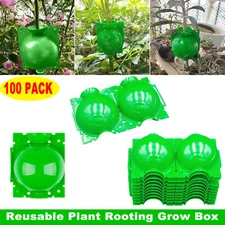 100pcs Plant Rooting Devices Growing Grafting Box High Pressure Propagation Ball