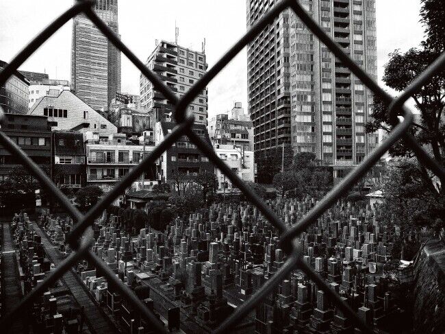Daido Moriyama 