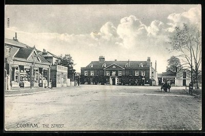 Cobham, The Street, Ansichtskarte 