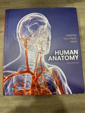 Human Anatomy - Hardcover, by Martini Frederi...