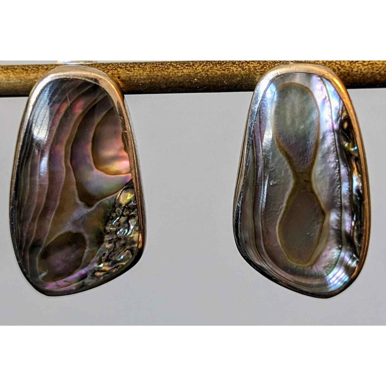 Marked 925 Sterling Abalone Shell Post Earrings - image 1