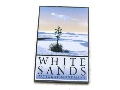 Vintage White Sands National Monument Pin Pre-2019 NM Souvenir Lizard Yucca