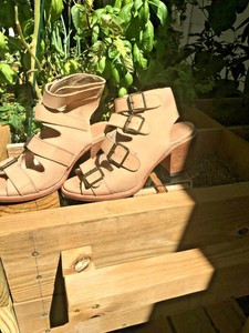 freebird by steven quail