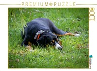 Calvendo Puzzle Auf Der Lauer 1000 Teile Puzzle Quer | 1000 Teile Lege-GrößE 64X