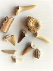 Foto 4 di 4