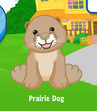 Webkinz Prairie Dog Virtual Adoption Code Only Messaged Webkinz Prairie Dog Code