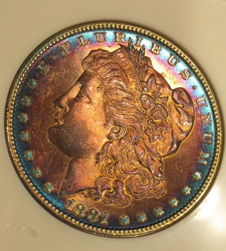 1881 S Morgan Silver Dollar - BU, Frosty feathers, fully toned obverse, 5249