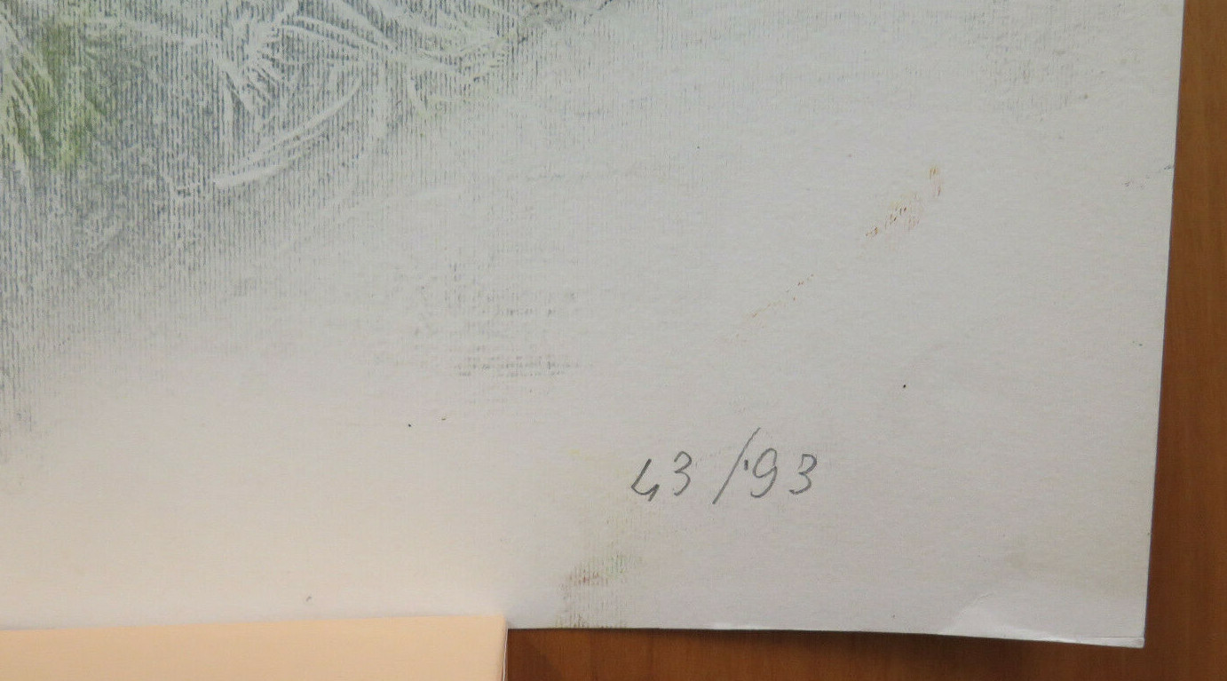 Zdjęcie 7 z 10