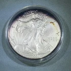 2001 American Silver Eagle 1oz 1 Dollar Uncirculated Peripheral Toner In Capsule