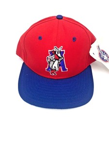 best minor league baseball hats