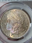 1881 S $1 Morgan Dollar CACG MS66 Toned
