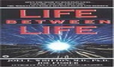 Life Between Life by Whitten, Joel Paperback / softback Book The Fast Free