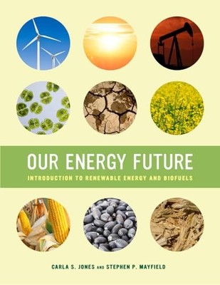 Our Energy Future: Introduction to Renewable Energy and Biofuels by Carla S. Jo