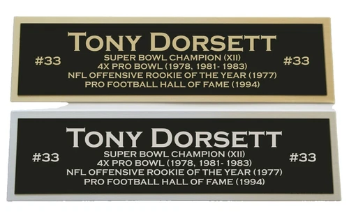 Tony Dorsett NFL Helmets