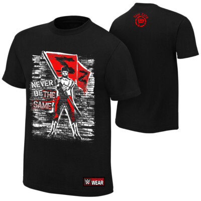 WWE Sami Zayn 