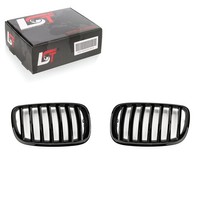 Nieren Ziergitter KüHlergrill Einsteg Schwarz Glanz FüR Bmw X6 E71 E72 M50